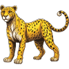 Animal guépard