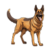 German Shepherd Dog Animal