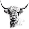 Highland Cattle Rind Illustration