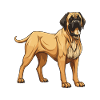 Mastiff Dog Animal