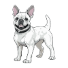 French Bulldog Dog Animal