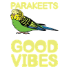 Parakeets The Guardians Of