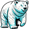 Ours blanc