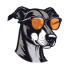 Greyhound Dog Cool Head Party