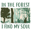 Im Wald finde ich meine Seele