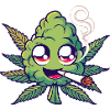 Smoking Bud