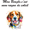 beagle rayon de soleil
