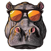 hippo, hippo, hippo, sunglasses, summer