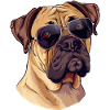 Bullmastiff, Dog, Sunglasses, Summer
