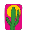 Cactus Mexico Sun
