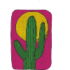 Cactus Mexico