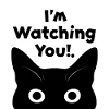 Ich beobachte dich Katze