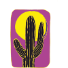 Cactus Mexico at night