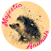 Animaux majestueux : Petit hérisson mignon