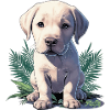 Tropical Puppy 🐾