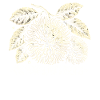 Fripon