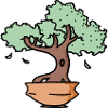 arbre zen