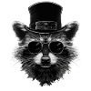 Cool raccoon