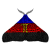 Polyamorous pride moth