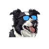 Border Collie ALL DOGS ARE GREAT BORDER COLLIES