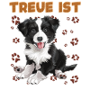 Border Collie LOYAL EST un Border Collie Dogs