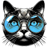 Chat à lunettes