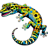 Gecko
