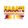 Cool Karate Retro Design