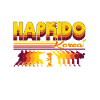 Cool Hapkido Retro Design