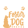 Pflegehund Herrchen Frauchen