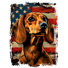 Dachshund America Usa