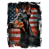 Doberman Pinscher America Usa