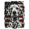 Dalmatian America USA