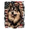 Finnish Lapphund, America Usa
