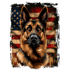 German Shepherd, America USA
