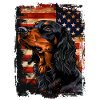 Gordon Setter Amérique États-Unis