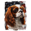 English Toy Spaniel, America Usa