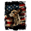 Greyhound America Usa