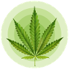 Circular Grafic Cannabis Leaf