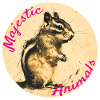 Majestic Animals: Lively chipmunk