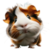 Adorable guinea pig design