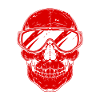 Ski Ski Goggles Skull