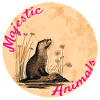 Majestic Animals: Cuddly Otters
