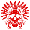 Indian Skull