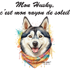 Husky rayon de soleil