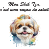 Shih Tzu rayon de soleil