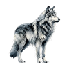 Wolf design Wolf Lover Majestic Wolf