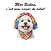 Bichon rayon de soleil