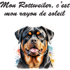 Rottweiler rayon de soleil