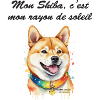 Shiba rayon de soleil